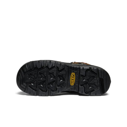 Men's Targhee IV Waterproof Work Boot (Carbon Toe)
