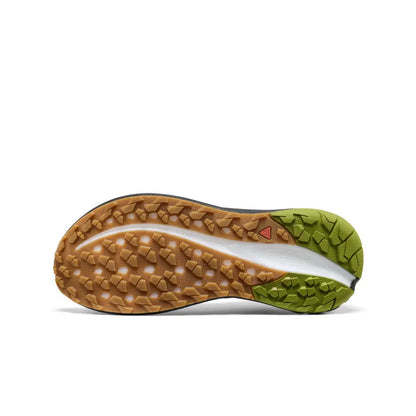 Men's Roam Trail Running Shoe